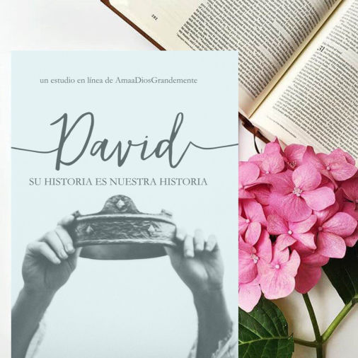 DavidSuHistoriaEsNuestraHistoria